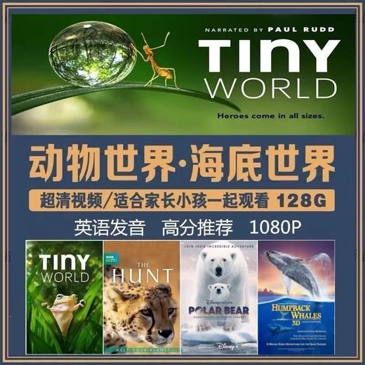 500部央视推荐高分纪录片+1500部国语动画+187部英语动画片 商品图1