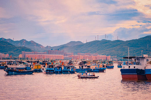 8.15确定出发【阳江】开渔节摄影盛宴2天<特惠> 商品图5