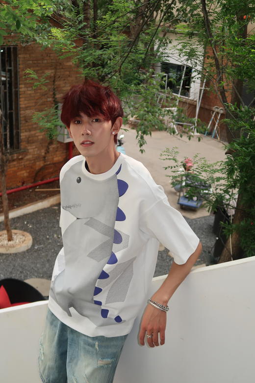 W422512105恐龙印花短袖T恤 商品图4