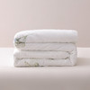 钱皇  水芙蓉蚕丝夏凉被 商品缩略图0