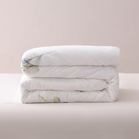 钱皇  水芙蓉蚕丝夏凉被