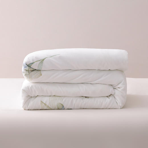 钱皇  水芙蓉蚕丝夏凉被 商品图0