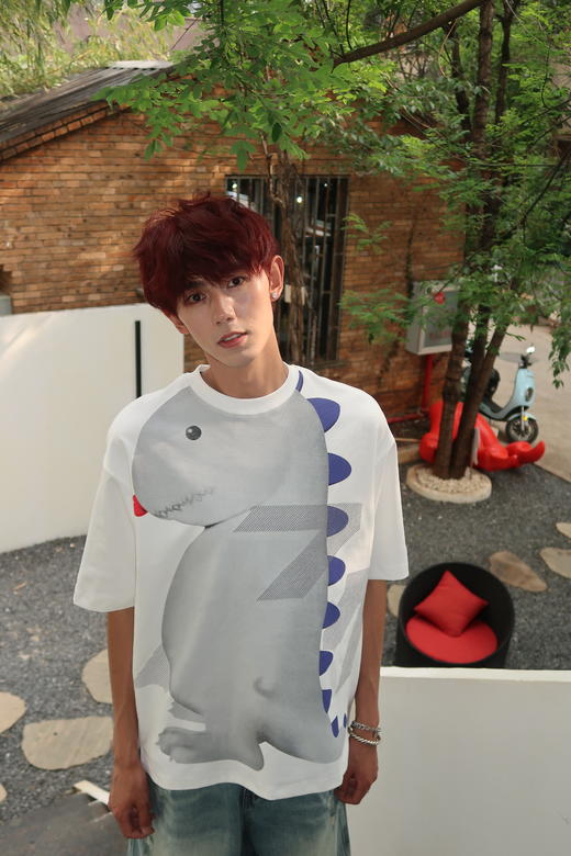 W422512105恐龙印花短袖T恤 商品图9