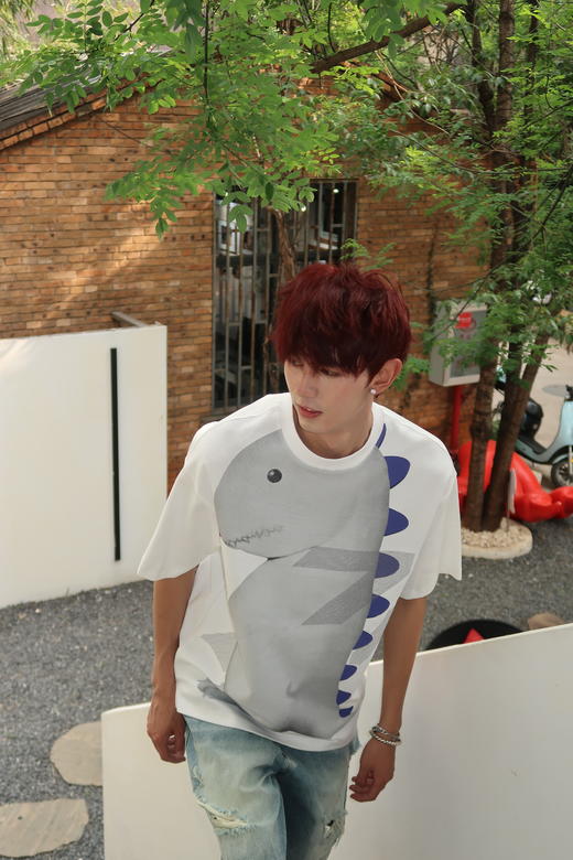 W422512105恐龙印花短袖T恤 商品图2