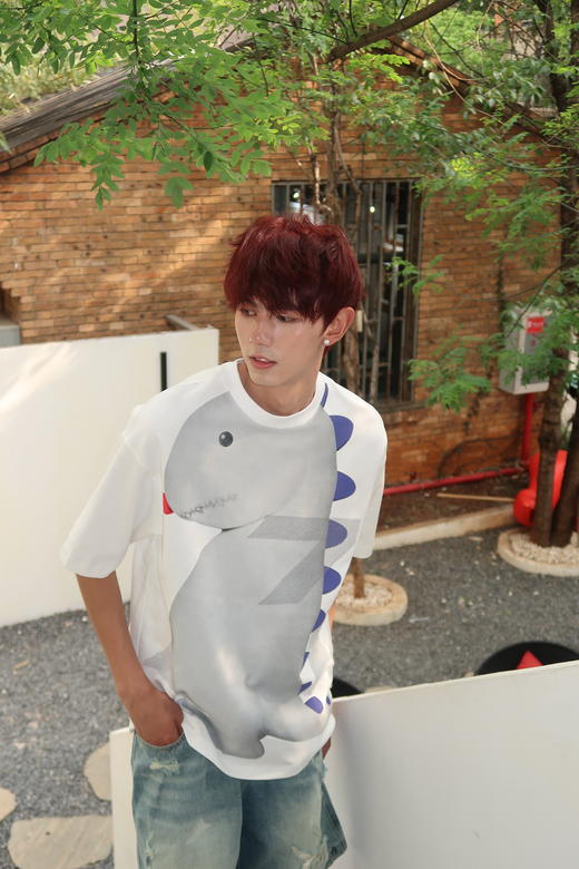 W422512105恐龙印花短袖T恤 商品图7