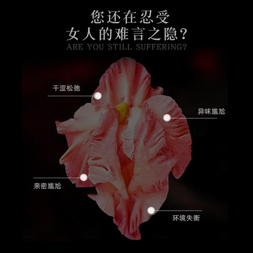 【休休专属】草本抑菌凝胶 奢宠舒活紧润私护套组 商品图1