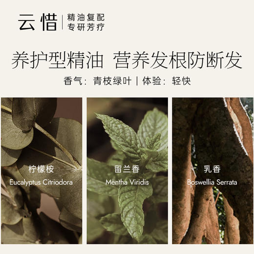 云惜 迷迭香强韧头皮精华油30ml 商品图2