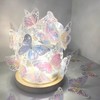 【手工diy炫彩蝴蝶】蝴蝶氛围小夜灯 创意闺蜜材料 情侣纪念日生日礼物 七夕情人节礼物 商品缩略图0
