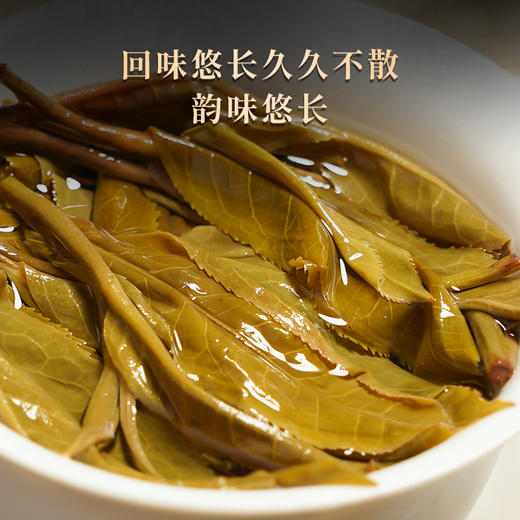【香竹箐】云南普洱茶生茶茶祖旁边核心地块茶树临沧茶区357克/饼 商品图2