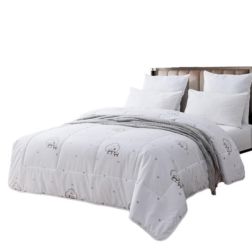 芳恩 新西兰羊毛被 商品图5