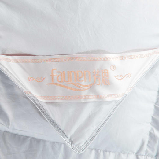 芳恩 全棉白鹅绒被 商品图2