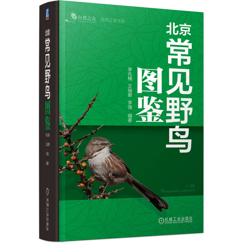 官网 北京常见野鸟图鉴 李兆楠 王瑞卿 李强 形态快速分类检索 自然环境 实用的观鸟口袋工具书 北京野鸟科普图鉴书籍