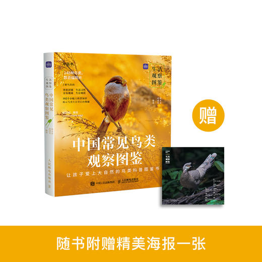 《生活观察图鉴 中国常见鸟类观察图鉴》 商品图0