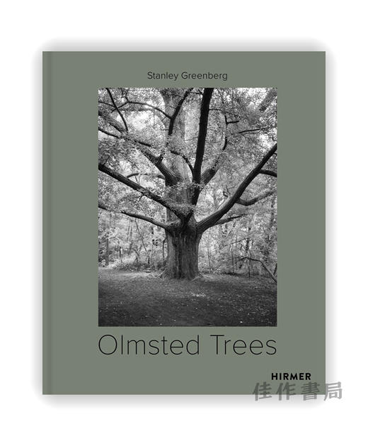 Olmsted Trees (Bilingual edition): Stanley Greenberg / 奥姆斯特德树：斯坦利·格林伯格 商品图0