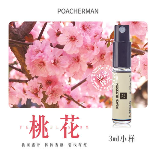 柏世曼桃花香水 清新花香调淡香持久中性小众香水学生香水 商品图3