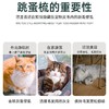 宠物猫咪狗狗跳蚤梳加密钢针梳除虱子密齿梳白手柄清理梳子1个 商品缩略图2
