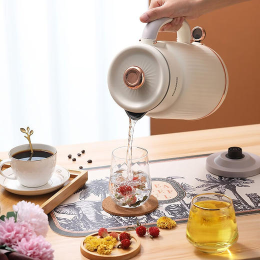 大宇（DAEWOO） 电热水壶家用双层防烫304不锈钢内胆开水壶DYSH-15F82 DYSH-15F82 商品图3