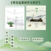 草本盆景制作与养护 兑宝峰 编著 0257 竹草类盆景 多肉类盆景 草本植物 盆器选择 造型技法 盆景艺术 中国林业出版社 畅销书籍 商品缩略图1