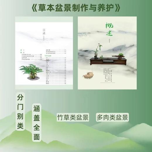 草本盆景制作与养护 兑宝峰 编著 0257 竹草类盆景 多肉类盆景 草本植物 盆器选择 造型技法 盆景艺术 中国林业出版社 畅销书籍 商品图1