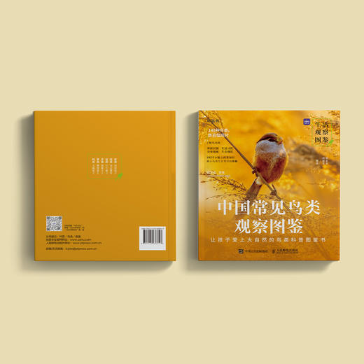 《生活观察图鉴 中国常见鸟类观察图鉴》 商品图13