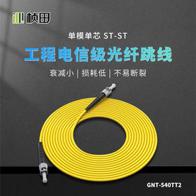 桢田光纤跳线-ST/ST 3米单模单芯   GNT-540TT2-3