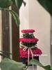 【大圆盒】99支套二圆盒（绸布款/塑料款/开窗/不开窗） 商品缩略图10
