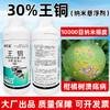 正品30%王铜柑橘溃疡病专用杀菌广谱真菌细菌病害专用杀菌剂农用 商品缩略图1