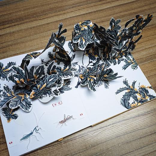 3D立体书：《齐白石老人的花园》，8开，齐白石著，荣宝斋出版社2023年一版一印，定价398，售价149元。 商品图2