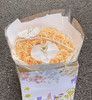 【属于你我的浪漫】33朵精品香槟玫瑰➕2朵蝴蝶兰，精美时尚花束 商品缩略图0