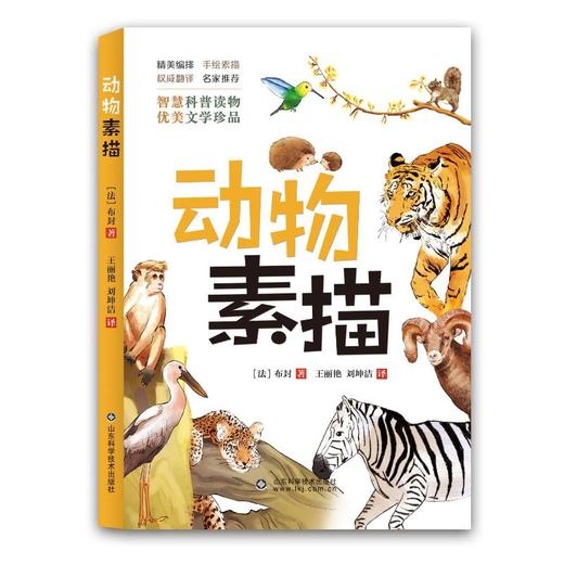 动物素描 商品图0