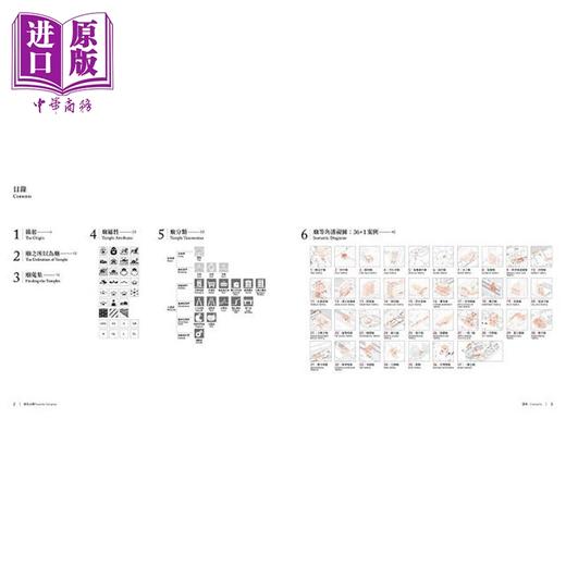 【中商原版】寄生之庙：台湾都市夹缝中的街庙观察，适应社会变迁的常民空间图鉴 港台艺术原版 赖伯威 野人出版 商品图2