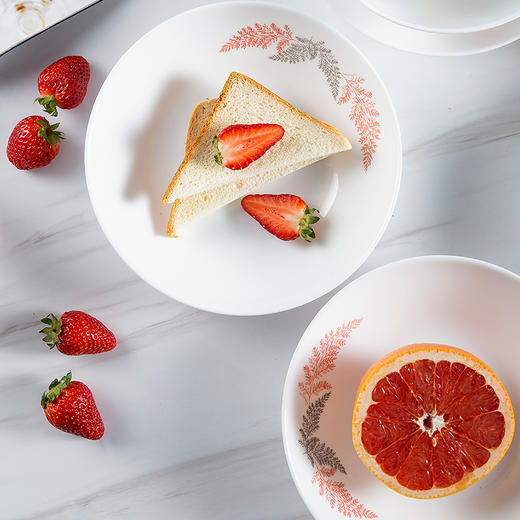 🎁乐美雅迪瓦丽凝霜粉餐具10件套 商品图1