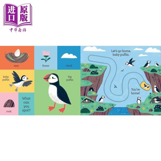 【中商原版】滑块轨道书 回家吧 鲨鱼宝宝 Lets Go Home Baby Shark英文原版 儿童纸板绘本 幼儿纸板书图画书 进口低幼童书 商品图3