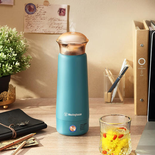 【美国西屋0.3升电热水壶】Westinghouse西屋电热水壶 便携烧水壶 旅行家用电热水壶 电热水杯0.3L WSH-A326 商品图4