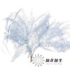 永生花材 | 芒其叶浅蓝色 商品缩略图0