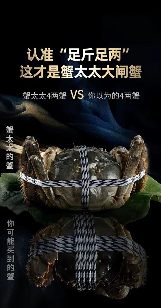 【HXY】2024中秋--蟹太太蟹卡阳澄湖大闸蟹礼品卡 商品图7