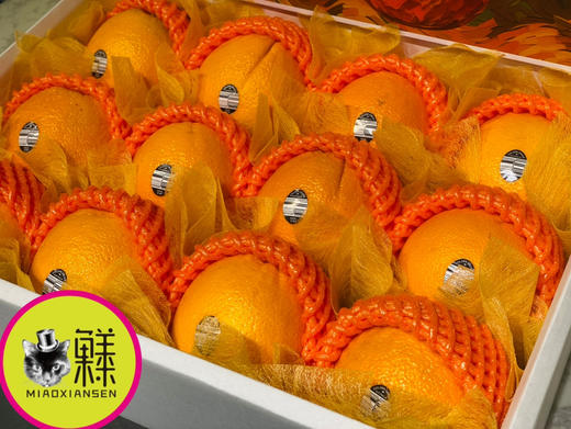 遇见梵高 进口阳光【甜橙】礼盒💝 商品图2