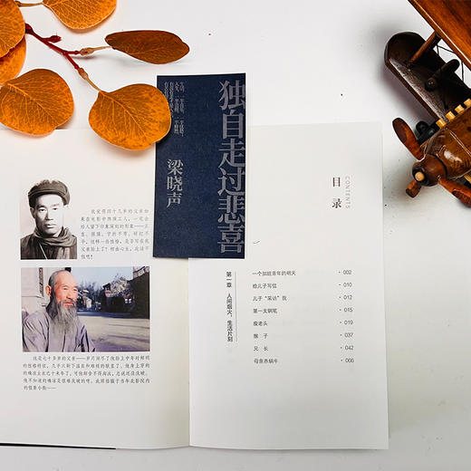 独自走过悲喜 商品图2