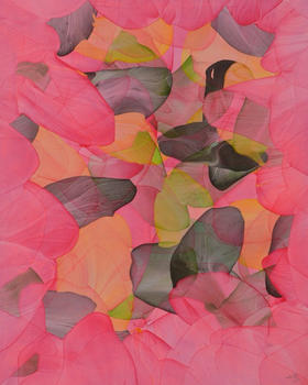 帅鹰《葳蕤24-20》原作