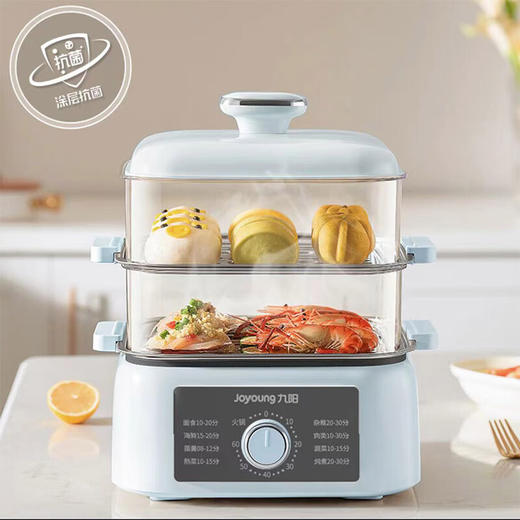 九阳电蒸锅DZ110HG-GZ660 商品图0