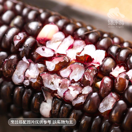 生态紫甜糯玉米 | 合作生产*Eco-Corn  |  Partner Production 商品图1
