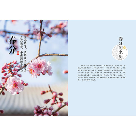 小食小方胜小药 商品图3