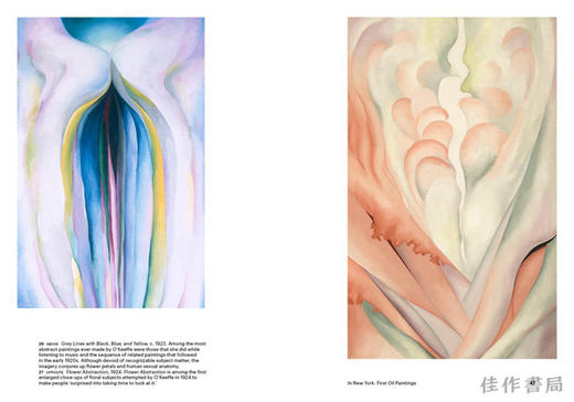 Georgia O'Keeffe (World of Art) / 乔治亚·欧姬芙（世界艺术系列） 商品图2