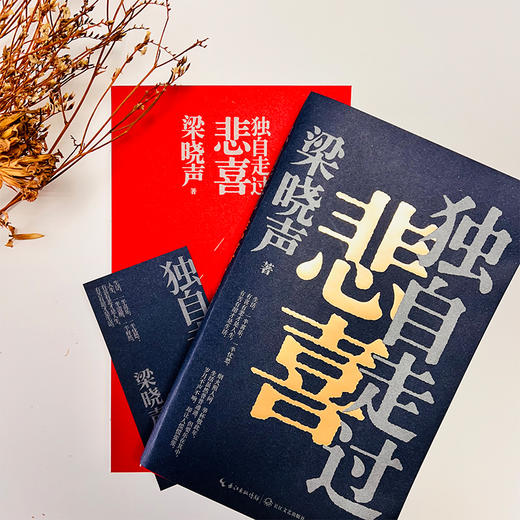 独自走过悲喜 商品图1