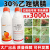 30%乙唑螨腈杀螨剂柑橘果树红蜘蛛叶螨草莓二斑叶螨专用药杀虫剂 商品缩略图1