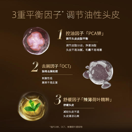 温莎森林根源强韧精华洗发露|姜根焕活精华，护根防断发 商品图4