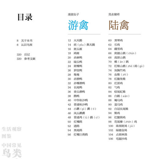 《生活观察图鉴 中国常见鸟类观察图鉴》 商品图3