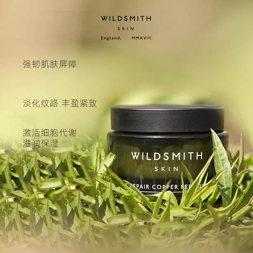 Wildsmith活性修复铜肽护肤霜面霜 商品图2