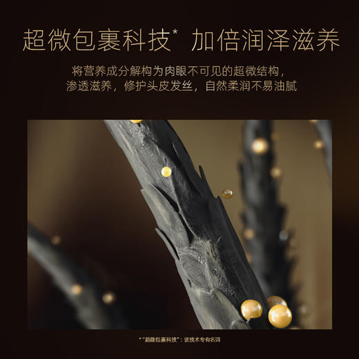 温莎森林根源强韧精华洗发露|姜根焕活精华，护根防断发 商品图5