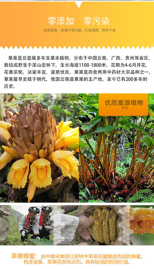 【云南省怒江州泸水市】百华谷草果蜂蜜500g/瓶 商品图2